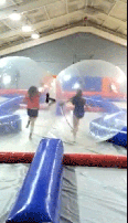 Human Sphere with Race Track - $500.00